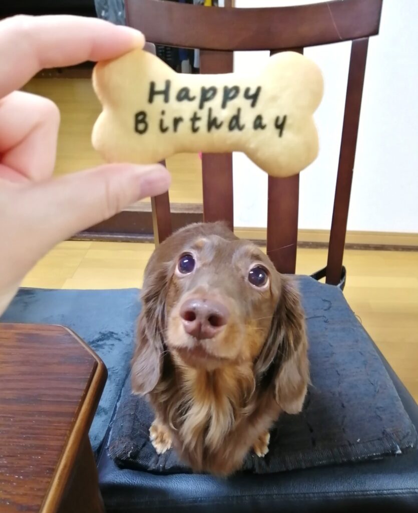 レオン、早く食べたい4歳のお誕生日クッキー