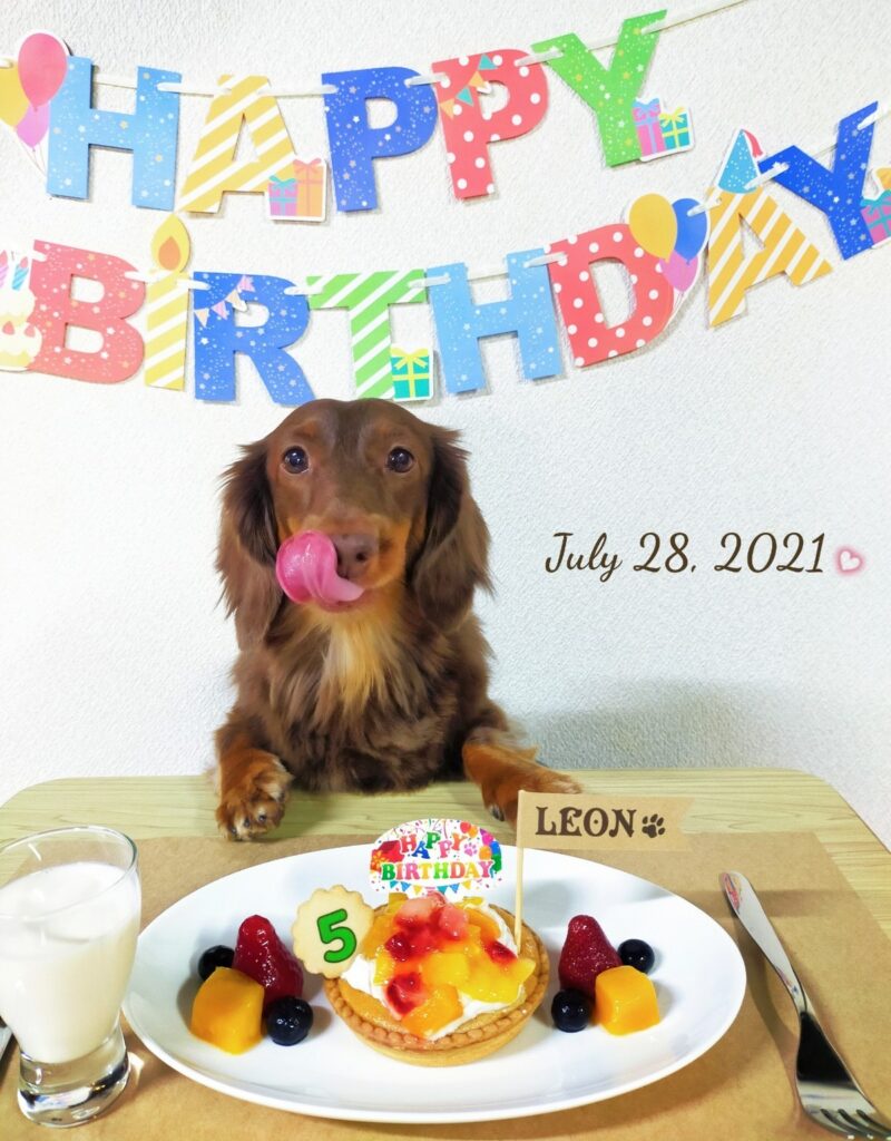 愛犬レオン、5歳のお誕生日