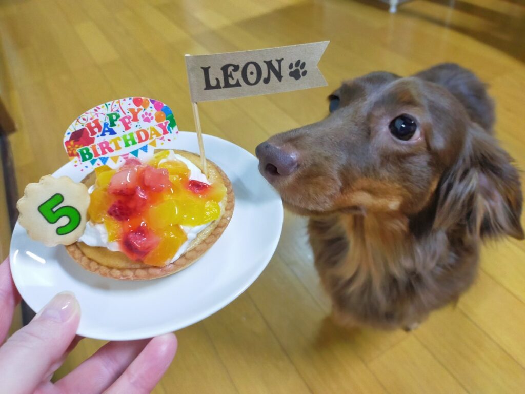 レオン、早く食べたい5歳のお誕生日ケーキ