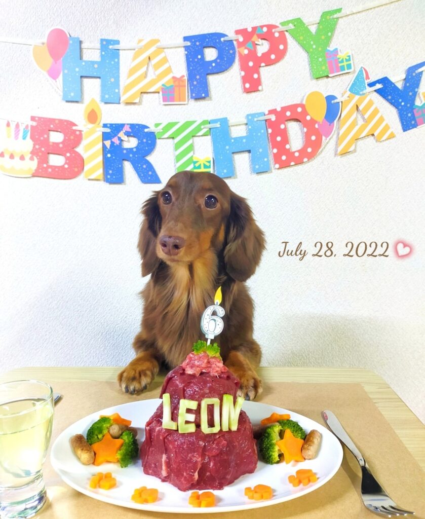 愛犬レオン、6歳のお誕生日