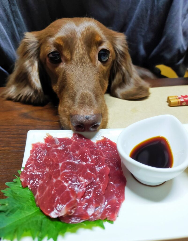 レオンの大好物、馬刺し