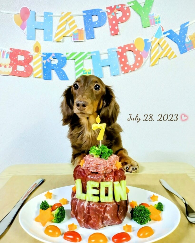 レオン7歳のお誕生日、馬刺しケーキ