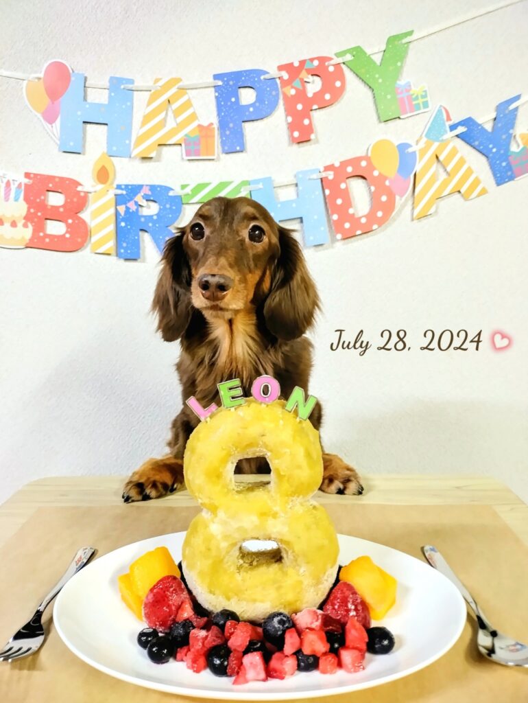 愛犬レオン、8歳のお誕生日は紅はるかケーキ