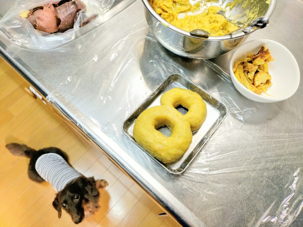 愛犬レオン、8歳のお誕生日ケーキ作成中