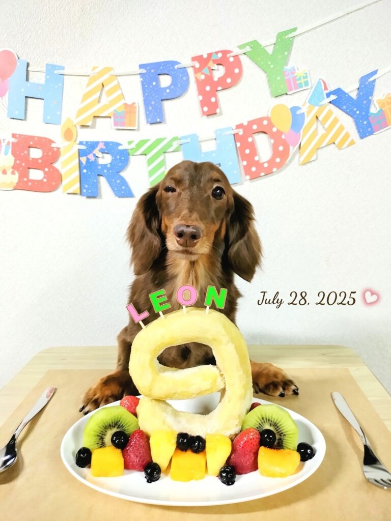 愛犬レオン、9歳のお誕生日ケーキ