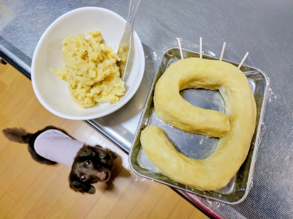 愛犬レオン、9歳のお誕生日ケーキ作成中