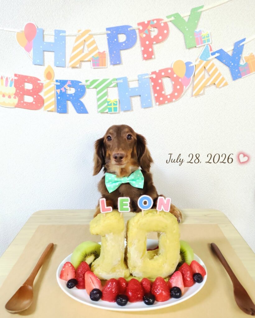 レオン10歳のお誕生日、手作りケーキといっしょに記念撮影