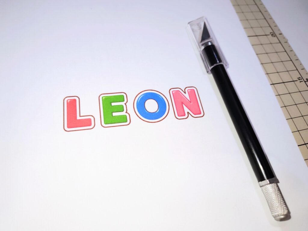 レオンのお名前ピックの準備