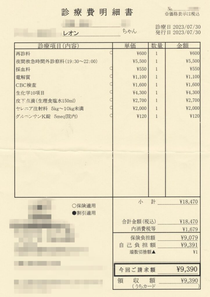 2023年7月30日に夜間救急病院で受け取った診療費明細書。個人情報および病院情報は加工しています。費用は当時のもので、診療内容や病院、受診時間、保険の有無などによって異なります。
