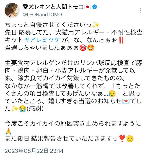 犬猫用不耐性検査アレミッケ当選時のX投稿