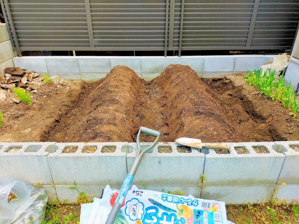 さつまいも畑の畝作り