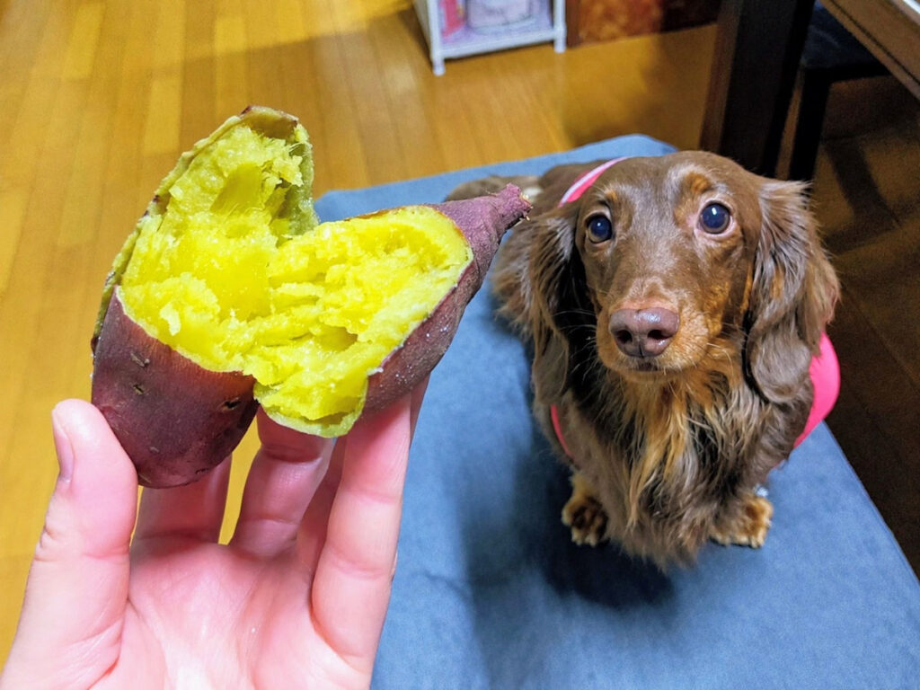 じっくり焼いた紅はるかを見つめるレオン