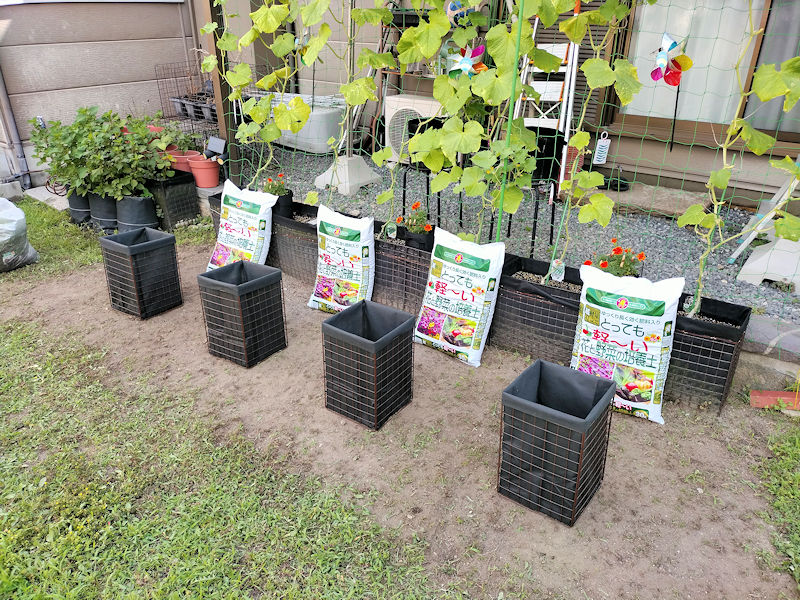 1株用底なし深型プランターに培養土を入れる準備