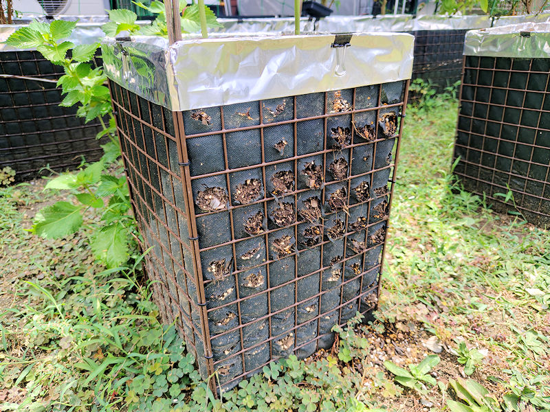 西日が当たる面の不織布が劣化して破れた手作りプランター