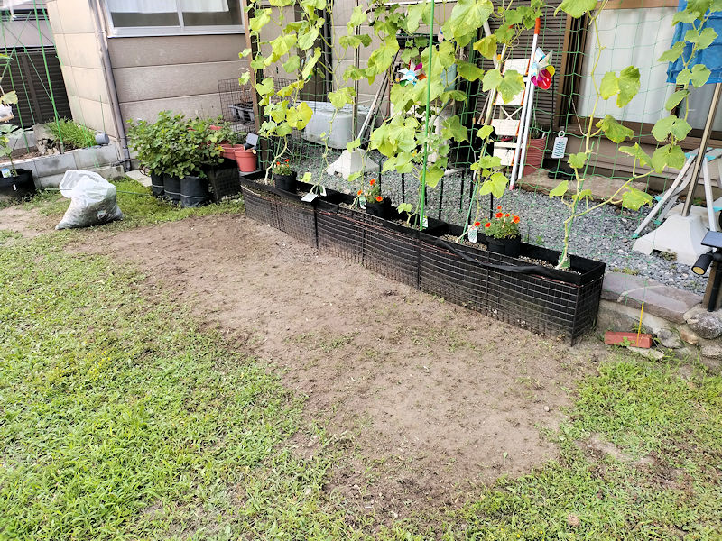 底なしプランターを設置する場所の草を取り除いた様子