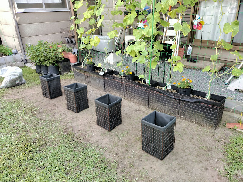 菜園に設置した4台の1株用底なし深型プランター
