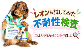 レオンも試してみた不耐性検査
