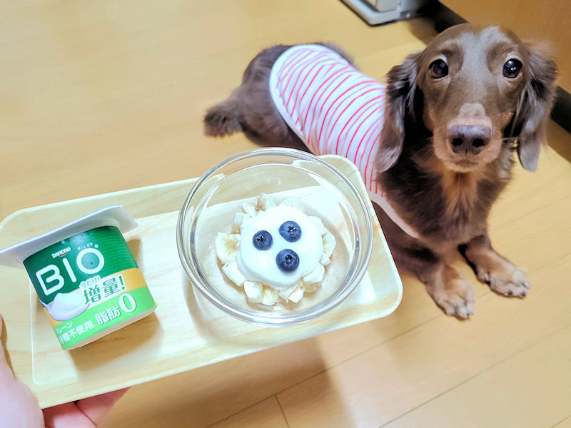 バナナに無糖ヨーグルトとブルーベリーを添えたレオンの朝食