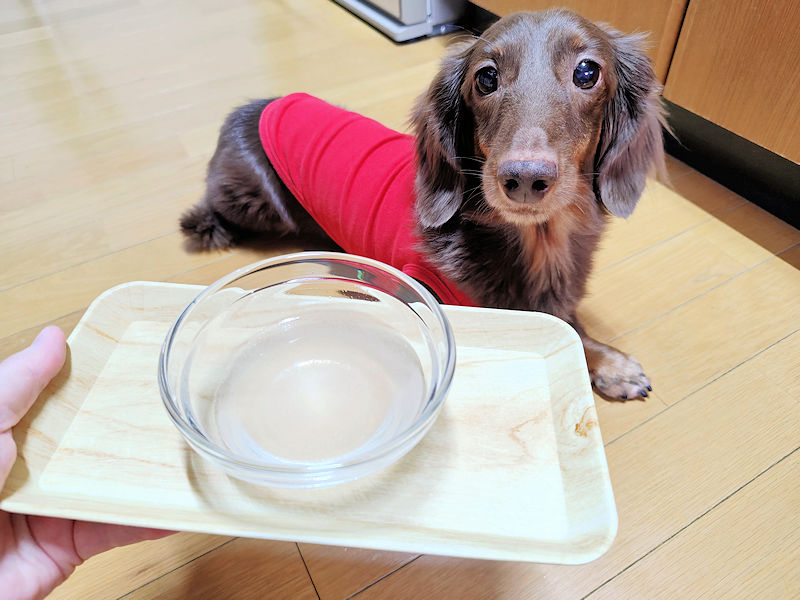 ラム肉のゆで汁を楽しみにするレオン