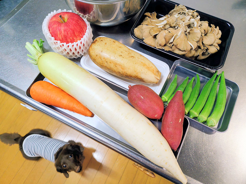 レオンの手作りごはんに使う野菜や果物