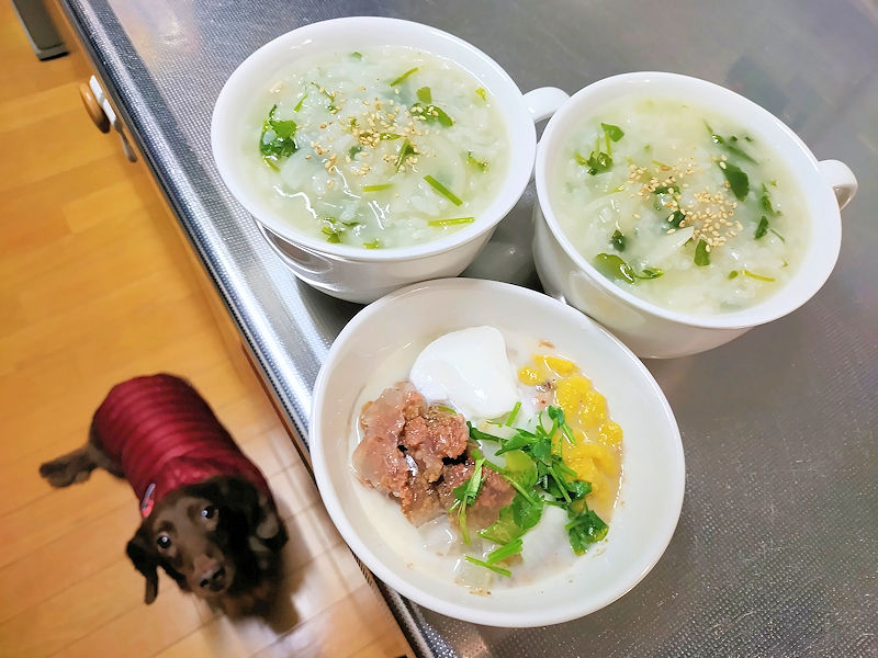 七草粥の日に用意したレオン用のごはん