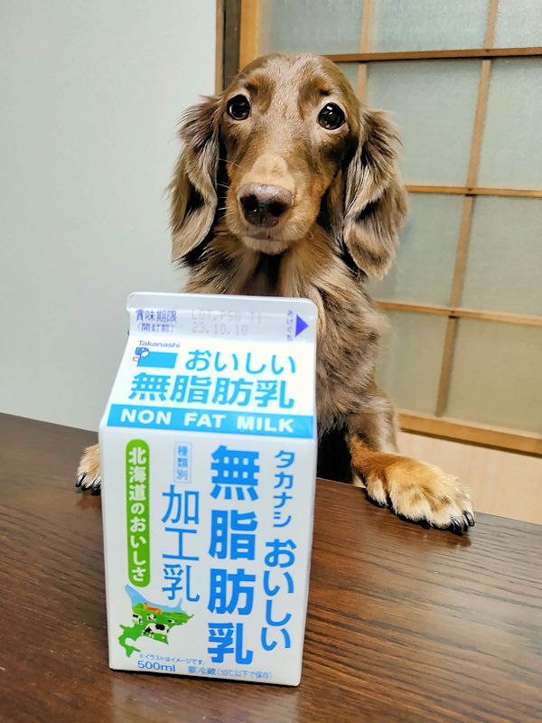 無脂肪牛乳とレオン
