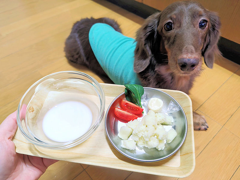 米粉豆腐パンと豆乳を前にしたレオン