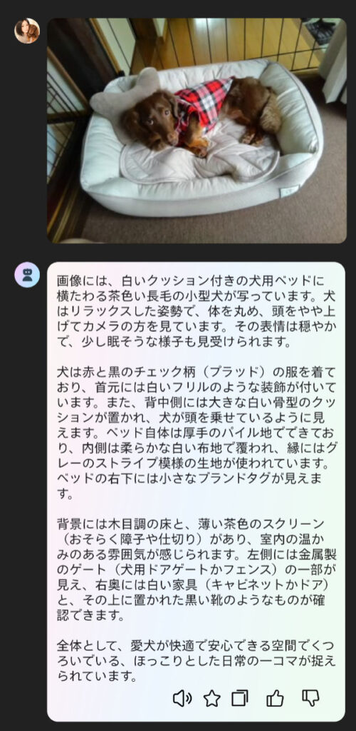 スマートグラスのAI画像認識で愛犬レオンを説明した画面